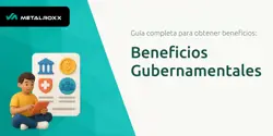 Beneficios Gubernamentales: Guía Completa para Obtener Beneficios